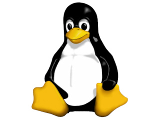 Ubuntu - Obtener espacio que ocupa un directorio en disco (Comando du)